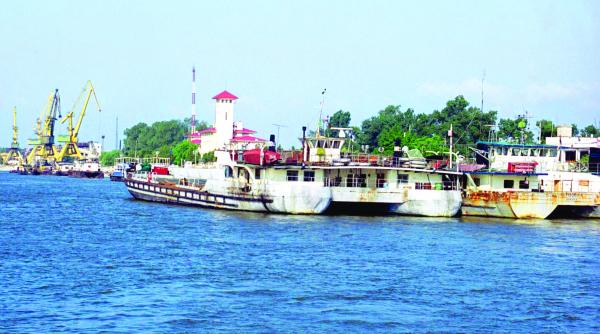 de la sosete la ciuperci anaf executa tot