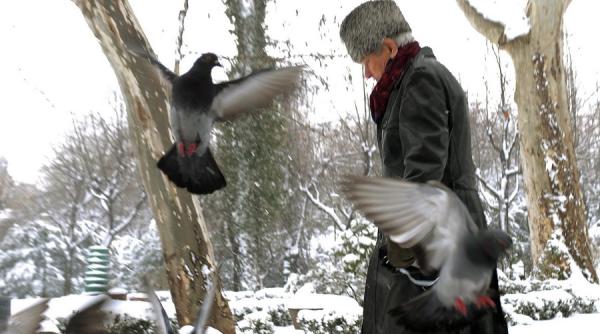 prognoza meteo pentru intervalul 4 17 ianuarie