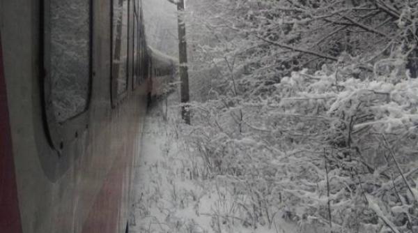 cfr calatori niciun tren nu a fost anulat dar exista intarzieri pe unele rute