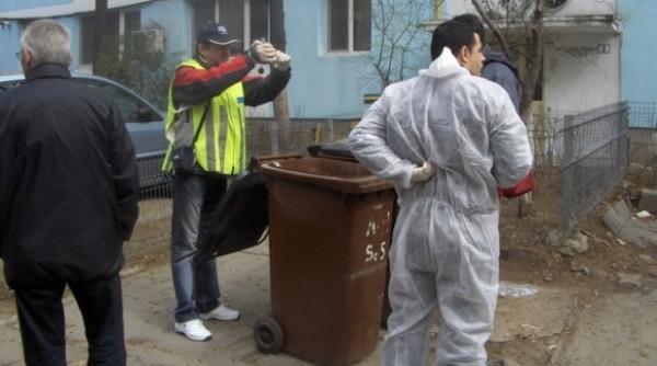 gest inexplicabil o asistenta si a lasat nou nascutul la ghena de gunoi bebelusul a murit inghetat