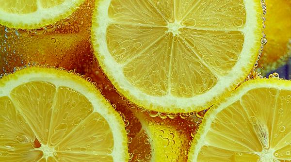 ce boli pot fi tratate cu lamaia