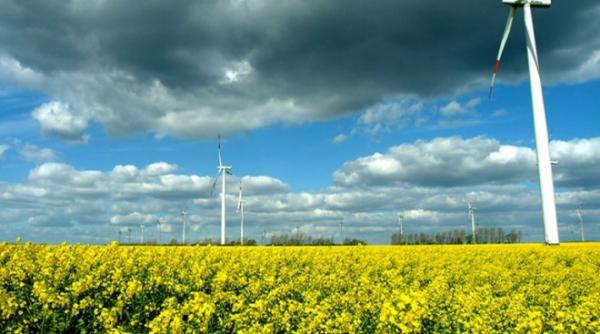 constanta judetul cu cea mai multa energie verde