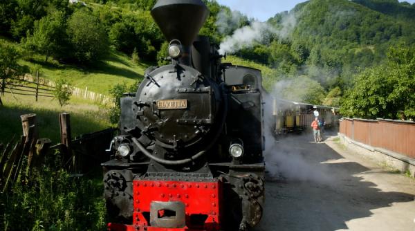 micul ghid al mocanitei disponibil pe smartphone