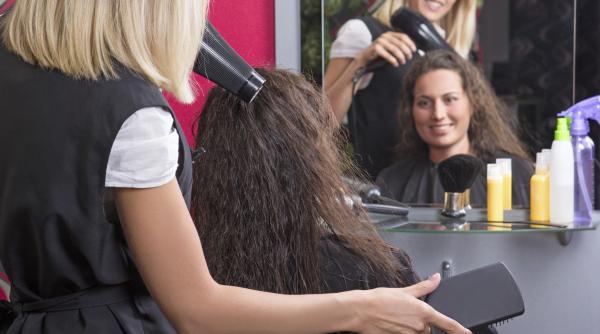 firmele debutante businessuri de subzistenta