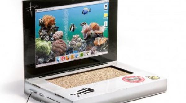 a aparut laptopul pentru pisici