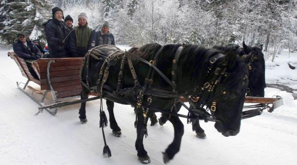 la plimbare cu sania trasa de cai
