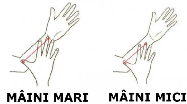 lungimea si forma mainilor iti tradeaza personalitatea
