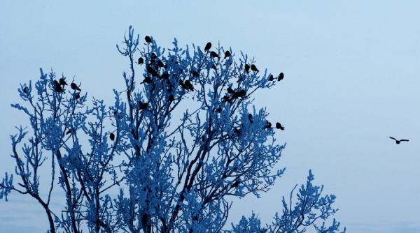 informare meteo ger si intensificari ale vantului