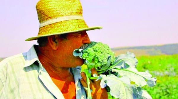 a inceput sezonul pentru ceapa si usturoiul verde romanesti