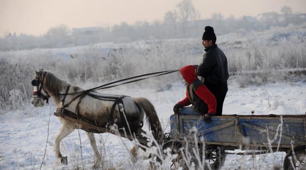 accesul carutelor interzis de luni pe domeniul public al municipiului suceava