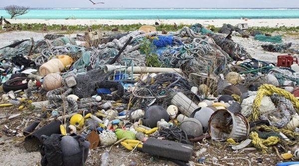 in oceane va exista in 2050 mai mult plastic decat peste