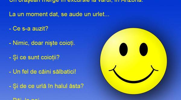 bancul zilei un fel de hora in jurul bradului de unul singur