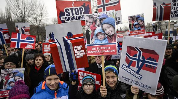 parlamentarii cer reanalizarea cazului bodnariu