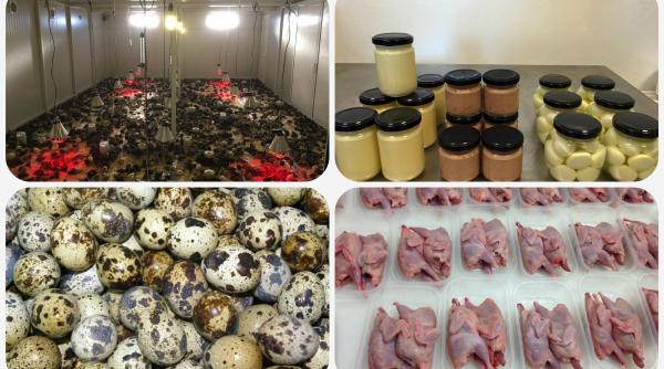 ferma de prepelite o afacere de nisa