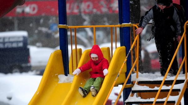 simplificarea procedurilor de adoptie discutata de comisia pentru munca din camera deputatilor