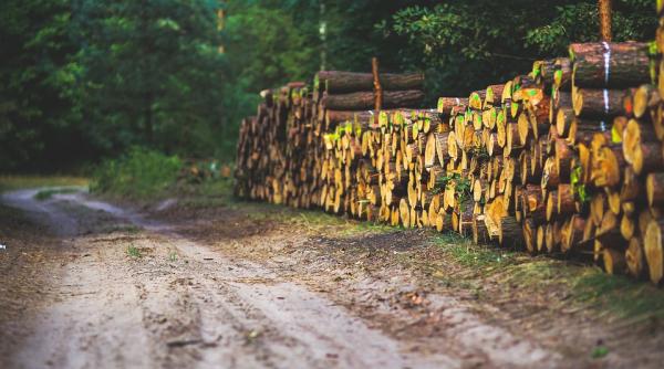 corpul de control al primului ministru a inceput un control la romsilva