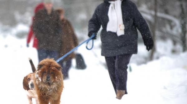 prognoza meteo cum va fi vremea pe 29 30 si 31 ianuarie 2016