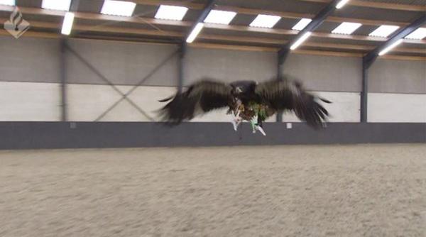 video arma pe care politia olandeza vrea sa o foloseasca impotriva dronelor