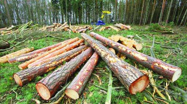agentii 007 din padurile romaniei