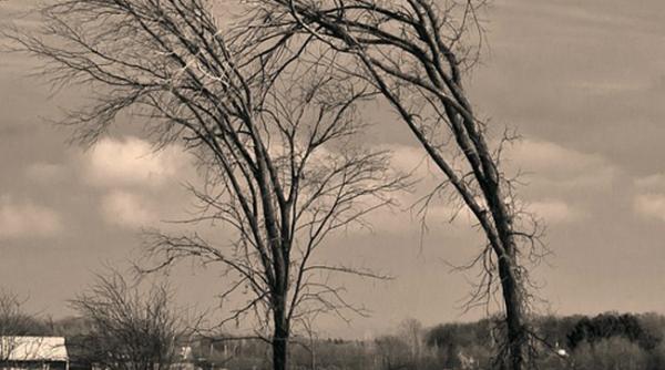 anm atentionare nowcasting de intensificari ale vantului in judetele dolj si mehedinti pana la ora 17 00