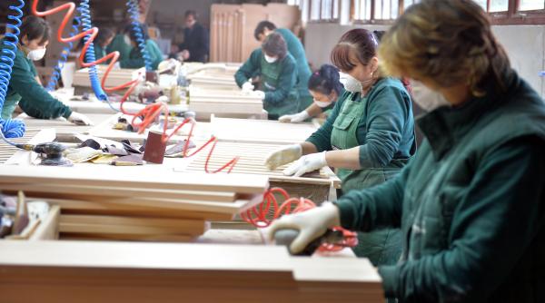 economia este dominata de firme tot mai mici