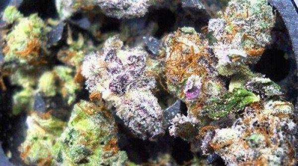 facebook a eliminat paginile pe care se vindea marijuana in scopuri medicale