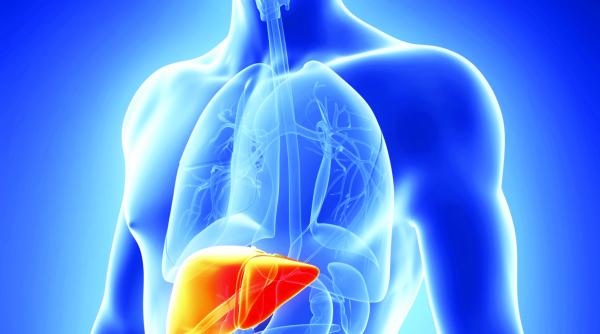 ficatul gras trebuie luat in serios