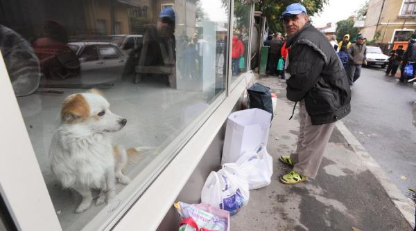 numarul somerilor neindemnizati creste constant