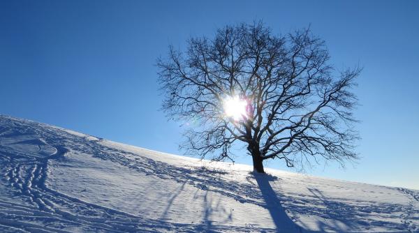 prognoza meteo 8 februarie valori termice ridicate