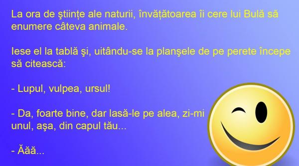 bancul zilei gradina zoo din capul lui bula