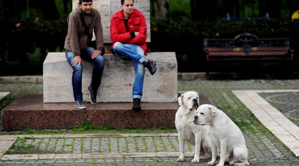 prognoza meteo pentru intervalul 15 28 februarie