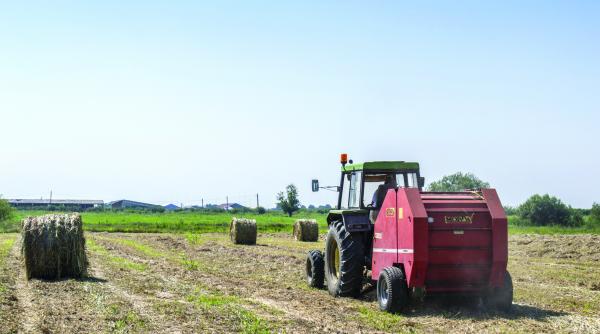 se pregateste un desant turcesc in agricultura romaneasca