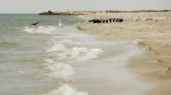 la vadu si corbu se vor infiinta plaje turistice