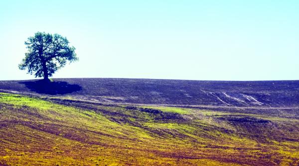 romania raiul samsarilor de teren