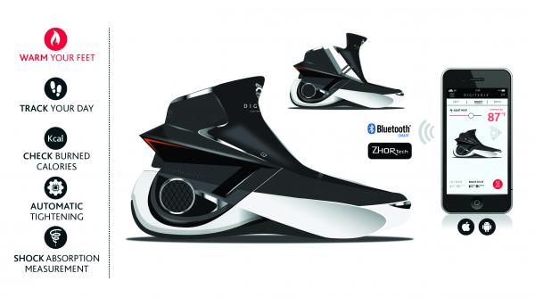 incaltamintea inteligenta