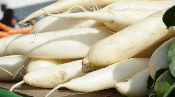 beneficiile consumului de ridiche alba