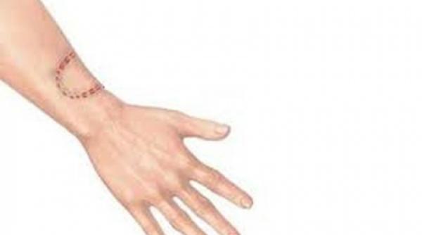 solutii de prim ajutor tot ce trebuie sa stii despre muscaturi