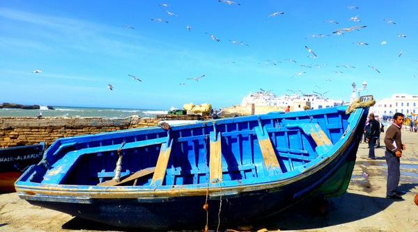 marocul a suspendat oficial toate contactele cu institutiile europene