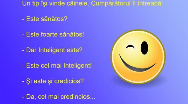 bancul zilei bula are un caine cuminte dar tot il vinde