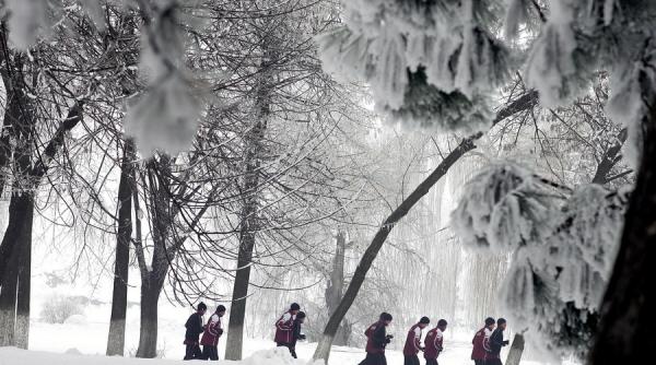 fotbal un om de afaceri german intentioneaza sa preia o parte din actiunile fc rapid
