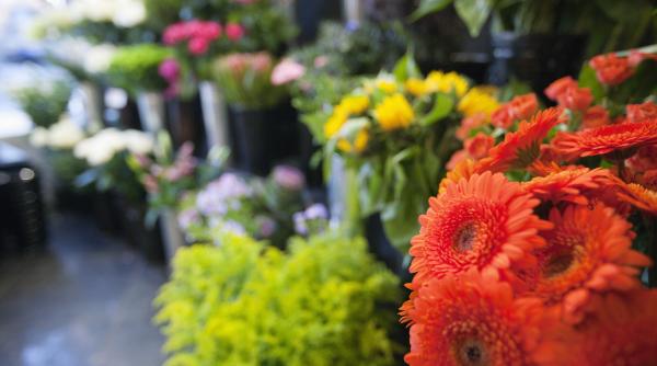 razii anuntate de anaf in florarii si frizerii