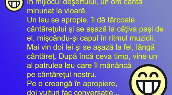 bancul zilei patru lei doi vulturi si un violonist in desert cine scapa