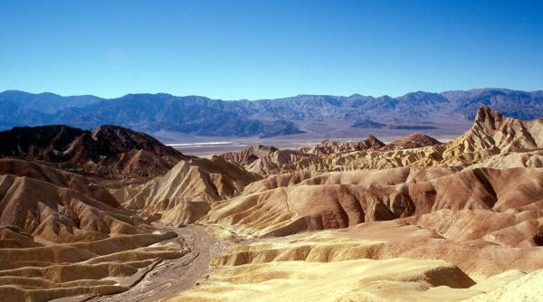 video arida vale a mortii s a transformat miraculos