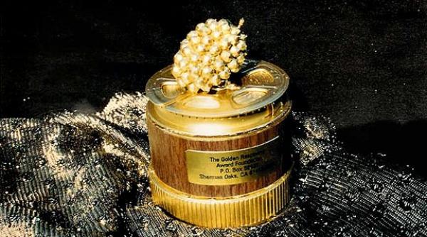 premiile zmeura de aur care este cel mai prost film al anului 2015