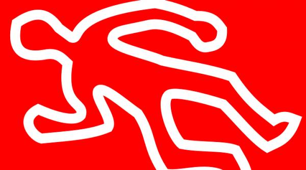 un tanar cazut pe carosabil a fost calcat de o masina pe dj203