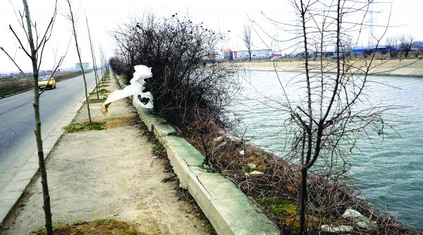 primariile omoara oameni prin indiferenta