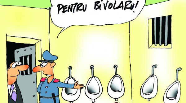 guru bivolaru poate refuza sa se intoarca in romania