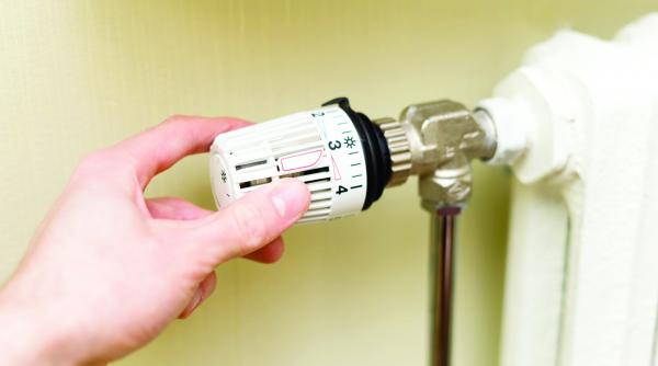 godinul la a doua tinerete