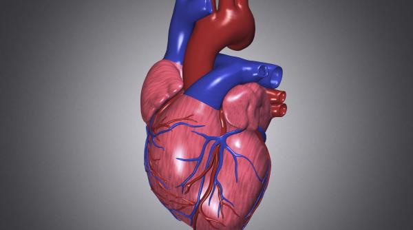 profesor doctor horatiu moldovan toate operatiile de inima se fac in tara de ce sa te operezi in strainatate