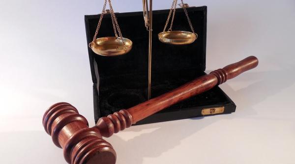 ingrid vlasov a fost pusa sub acuzare pentru contracte cu camera de comert fara justificare economica pentru institutie